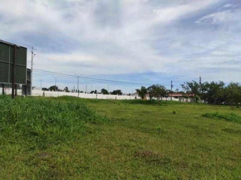 Foto Terreno en Venta en Guapiles, Pococí, Limón - U$D 680.000 - TEV58325 - BienesOnLine