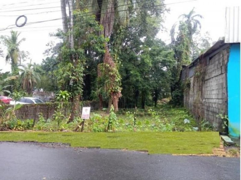 Foto Terreno en Venta en Guapiles, Pococí, Limón - ¢ 121.000.000 - TEV38280 - BienesOnLine