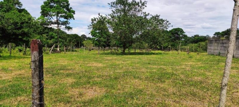 Foto Terreno en Venta en Guapiles, Pococí, Limón - U$D 11.400 - TEV54074 - BienesOnLine