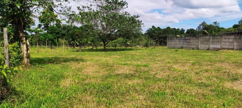 Foto Terreno en Venta en Guapiles, Pococí, Limón - U$D 11.400 - TEV54491 - BienesOnLine