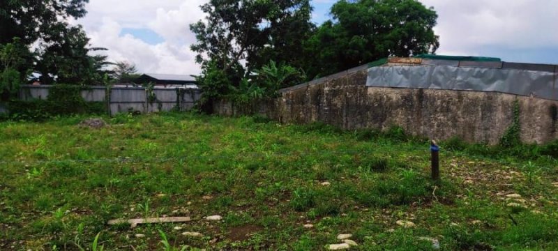 Foto Terreno en Venta en Lomas de Guapiles, Pococí, Limón - U$D 19.500 - TEV58371 - BienesOnLine