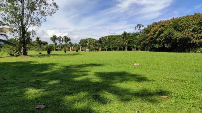 Foto Terreno en Venta en Guapiles, Pococí, Limón - U$D 104.000 - TEV51933 - BienesOnLine