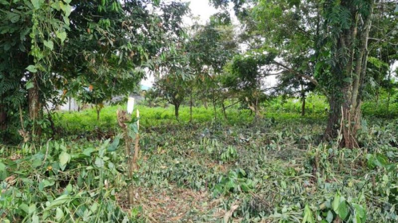 Foto Terreno en Venta en Guapiles, Pococí, Limón - U$D 19.500 - TEV54088 - BienesOnLine