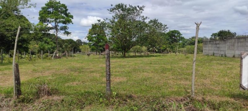 Foto Terreno en Venta en Guapiles, Pococí, Limón - U$D 11.400 - TEV56664 - BienesOnLine