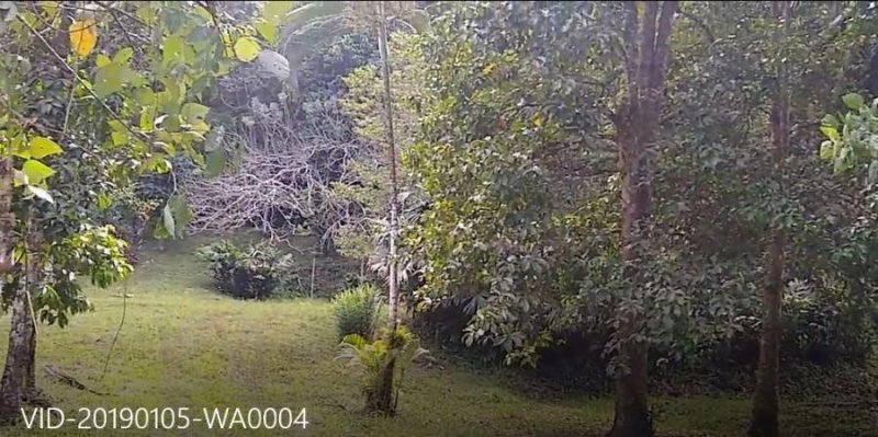 Foto Terreno en Venta en GUAPlayaNegra, Limón, Limón - U$D 29.000 - TEV54404 - BienesOnLine