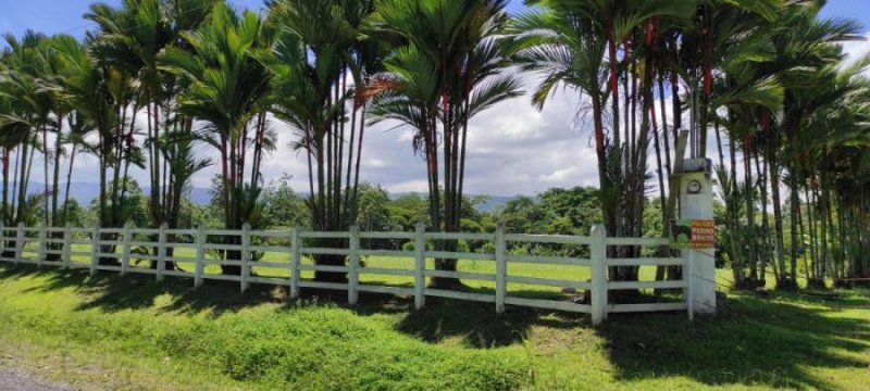 Foto Terreno en Venta en Macadamia de Guapiles, Pococí, Limón - U$D 92.500 - TEV57342 - BienesOnLine