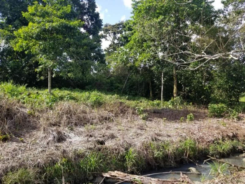 Foto Terreno en Venta en Guapiles, Pococí, Limón - U$D 28.000 - TEV53411 - BienesOnLine