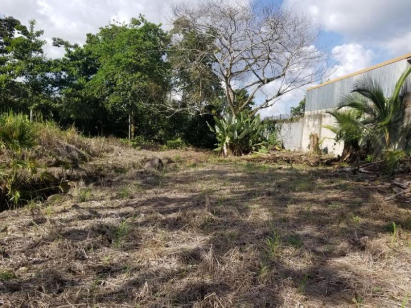 Foto Terreno en Venta en Guapiles, Pococí, Limón - U$D 28.000 - TEV54401 - BienesOnLine