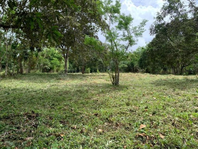 Foto Terreno en Venta en PerezZeloSanIsidroGeneral, Perez Zeledón, San José - U$D 52.000 - TEV55137 - BienesOnLine