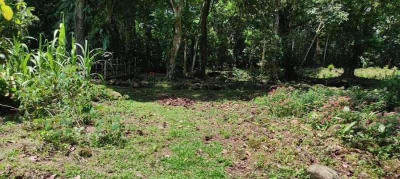 Foto Terreno en Venta en PocoJimenez, Pococí, Limón - U$D 53.900 - TEV57188 - BienesOnLine