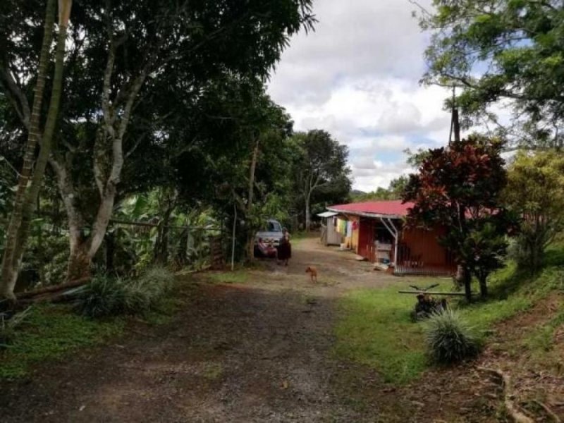 Foto Terreno en Venta en San Juan, San Ramón, Alajuela - ¢ 75.000.000 - TEV62222 - BienesOnLine