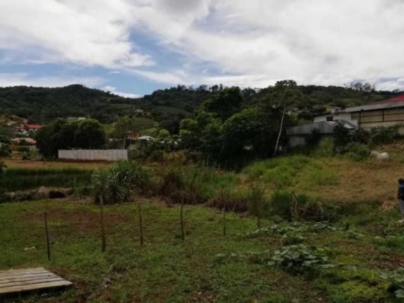 Foto Terreno en Venta en San Ramon, San Ramón, Alajuela - U$D 105.000 - TEV59805 - BienesOnLine