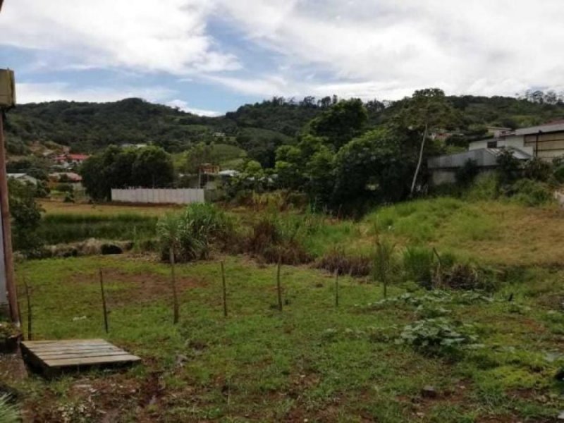 Foto Terreno en Venta en San Ramon, San Ramón, Alajuela - ¢ 70.000.000 - TEV62221 - BienesOnLine