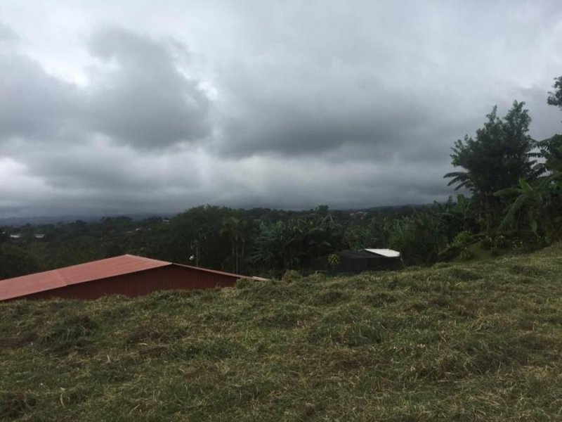 Foto Terreno en Venta en San Juan, Poás, Alajuela - U$D 66.500 - TEV56099 - BienesOnLine