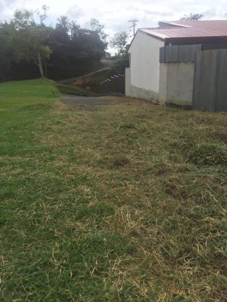 Foto Terreno en Venta en SanJuan, Poás, Alajuela - U$D 66.500 - TEV58457 - BienesOnLine