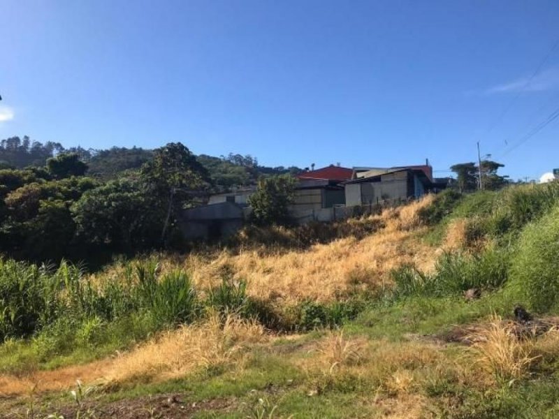 Foto Terreno en Venta en SanRamon, San Ramón, Alajuela - U$D 117.000 - TEV52511 - BienesOnLine