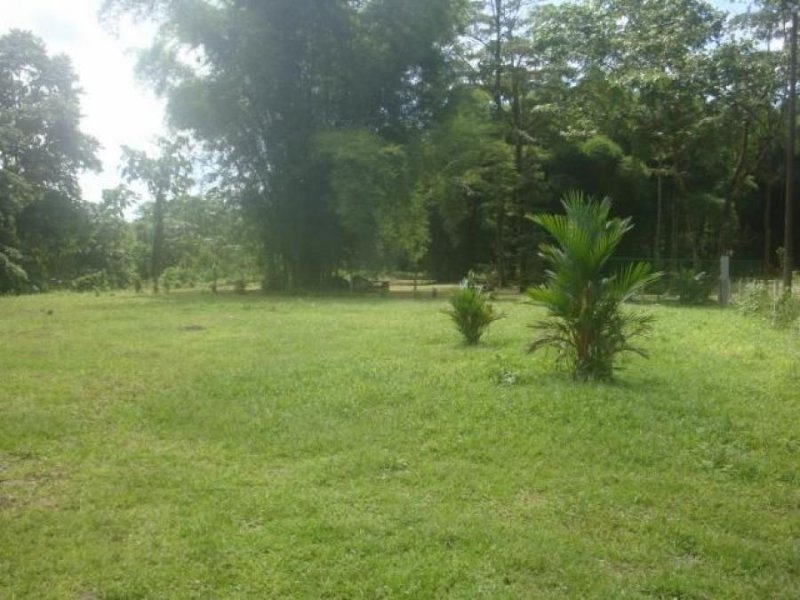 Foto Terreno en Venta en Sarapiqui, Sarapiquí, Heredia - U$D 40.000 - TEV56797 - BienesOnLine