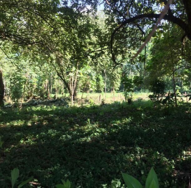 Foto Terreno en Venta en SCLaFortuna, San Carlos, Alajuela - U$D 101.000 - TEV54003 - BienesOnLine