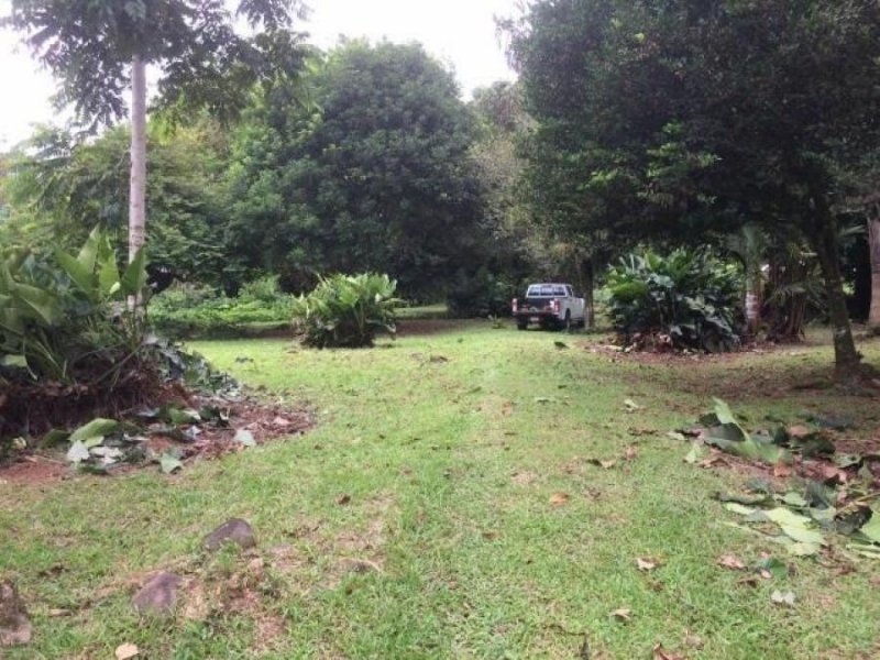 Foto Terreno en Venta en Jimenez, Pococí, Limón - U$D 120.000 - TEV51991 - BienesOnLine