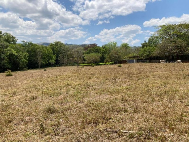 Terreno en Venta en HojanchaHojancha Hojancha, Guanacaste