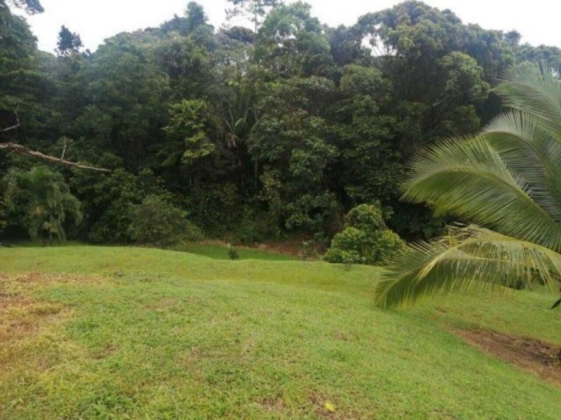 Terreno en Venta en  Siquirres, Limón