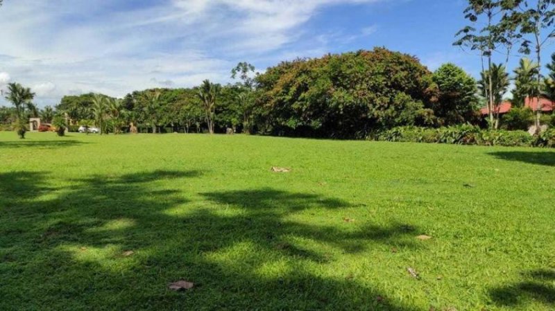 Foto Terreno en Venta en Guapiles, Pococí, Limón - ¢ 63.500.000 - TEV38219 - BienesOnLine