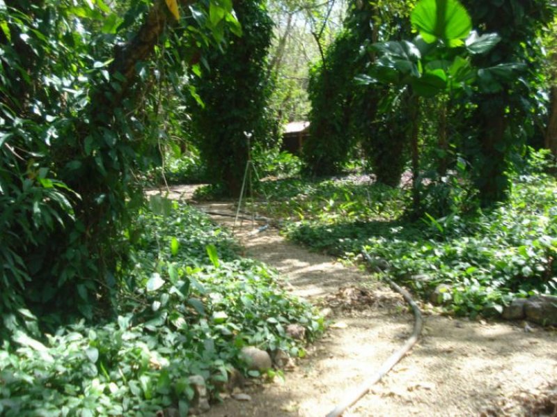 Foto Finca en Venta en Carrillo, Guanacaste - U$D 7.830.000 - FIV5165 - BienesOnLine