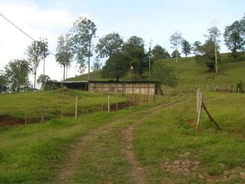 Foto Terreno en Venta en SAPuertoViejo, Sarapiquí, Heredia - U$D 700.000 - TEV62110 - BienesOnLine