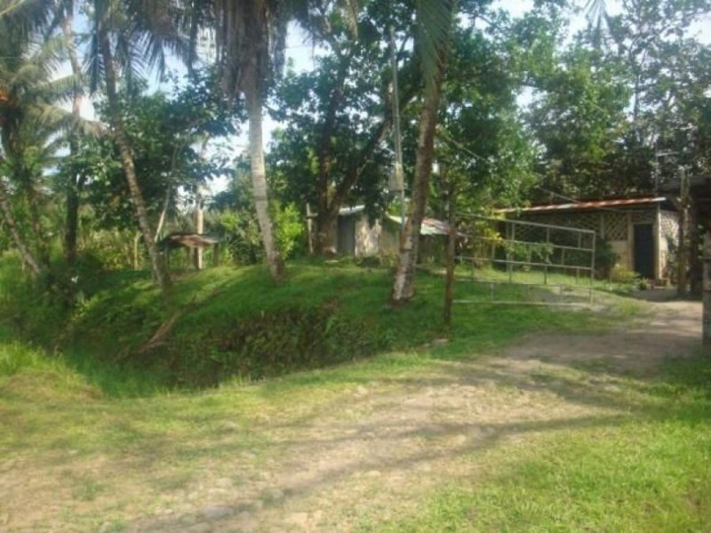 Foto Terreno en Venta en Guacimo, Guácimo, Limón - U$D 950.000 - TEV52357 - BienesOnLine