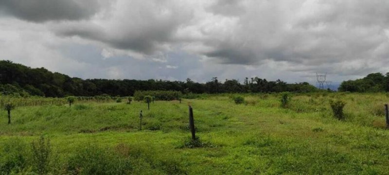 Foto Terreno en Venta en La Roxana, Pococí, Limón - U$D 651.000 - TEV52284 - BienesOnLine