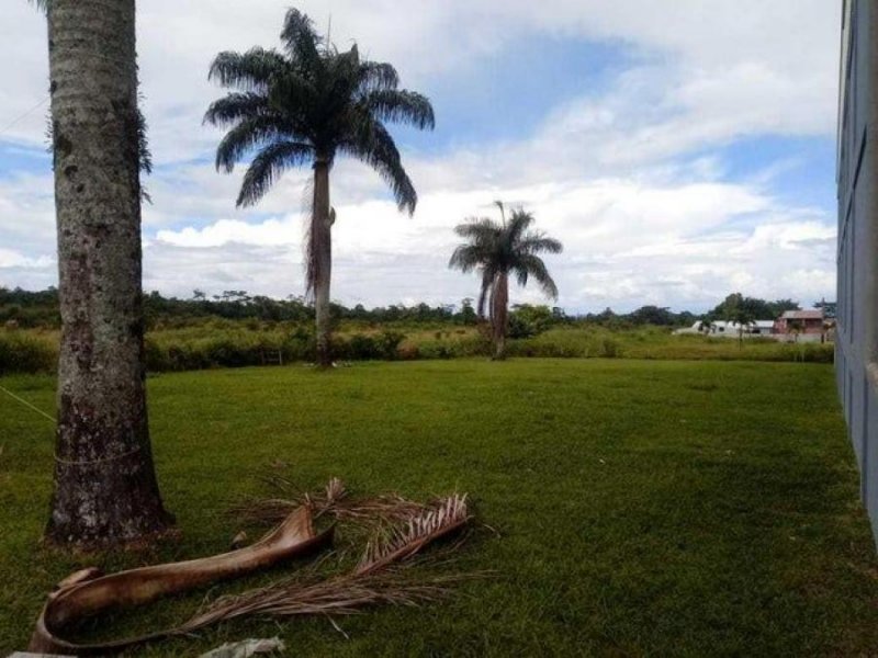 Foto Terreno en Venta en Pococí, Limón - ¢ 78.000.000 - TEV68825 - BienesOnLine