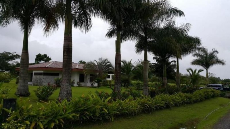 Foto Casa en Venta en Guapiles, Pococí, Limón - U$D 450.000 - CAV54940 - BienesOnLine