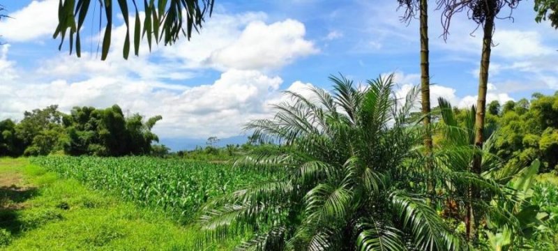 Foto Terreno en Venta en Sarapiquí, Heredia - ¢ 60.000.000 - TEV68659 - BienesOnLine