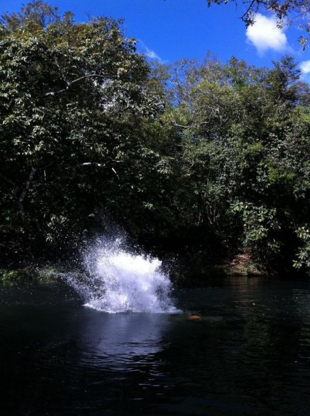 Foto Finca en Venta en Curubandé, Liberia, Guanacaste - 15 hectareas - U$D 150.000 - FIV9768 - BienesOnLine