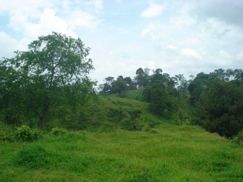 Finca en Venta en  Puerto Viejo, Heredia