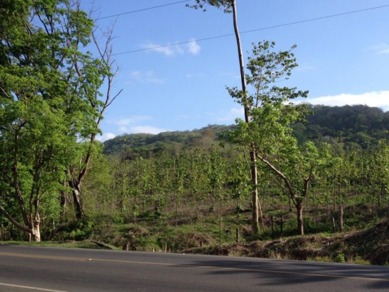 Finca en Venta en  Nicoya, Guanacaste