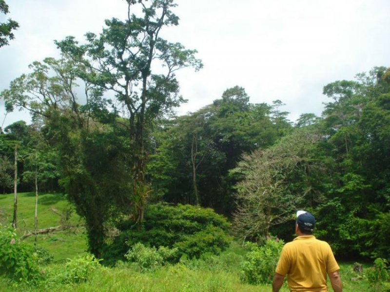 Finca en Venta en  San Carlos, Alajuela