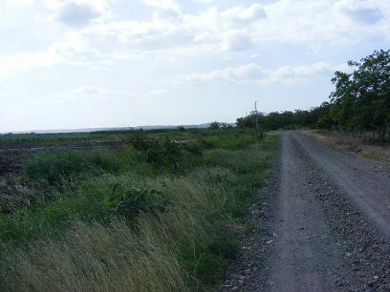 Foto Finca en Venta en Pijije, Bagaces, Guanacaste - ¢ 80.000.000 - FIV9773 - BienesOnLine