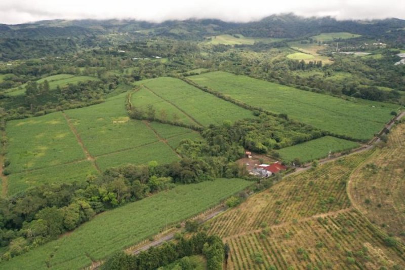 Finca en Venta en La Luisa Sarchí Norte, Alajuela