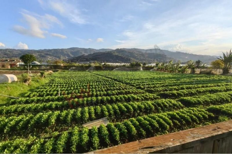 Finca en Venta en  El Tejar, Cartago