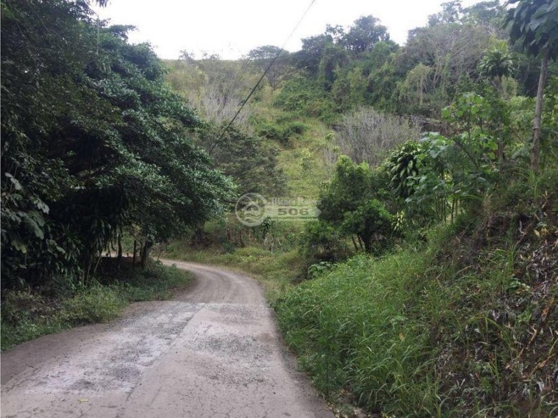 Finca en Venta en Barroeta, Atenas Atenas, Alajuela