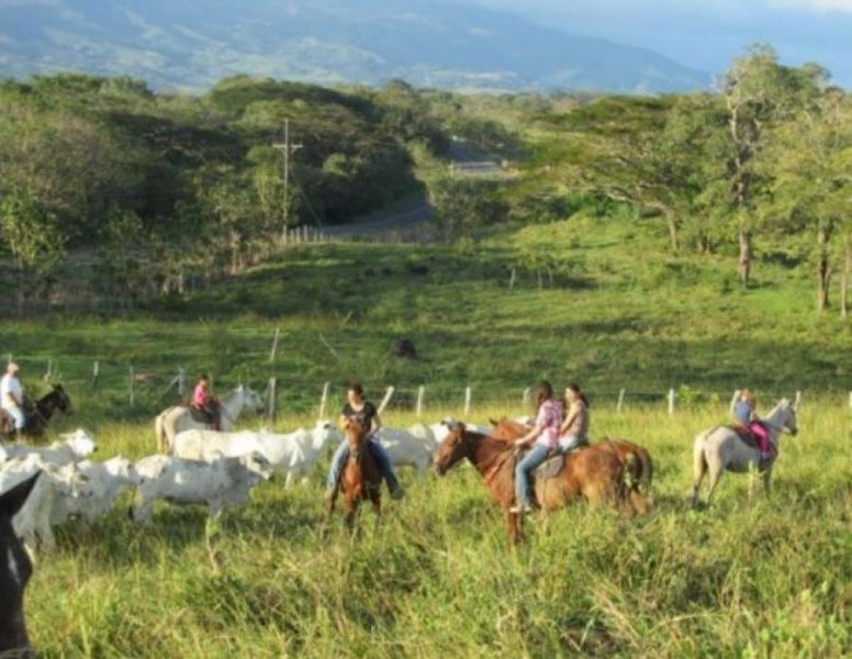 Finca en Venta en  Cañas, Guanacaste