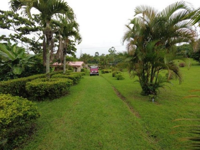 Foto Finca en Venta en San Ramón, Alajuela - U$D 3.000.000 - FIV86767 - BienesOnLine