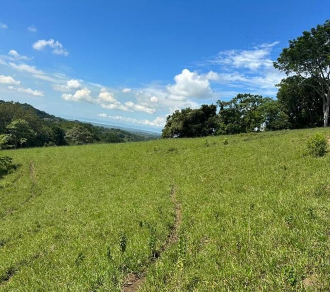 Finca en Venta en  Miramar, Puntarenas