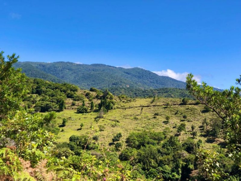 Finca de 300 hectáreas en Grecia Alajuela