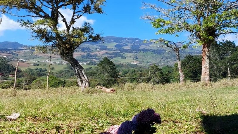 Finca en Venta en  Turrialba, Cartago