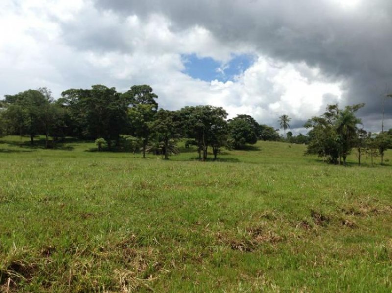 Finca en Venta en  San Carlos, Alajuela