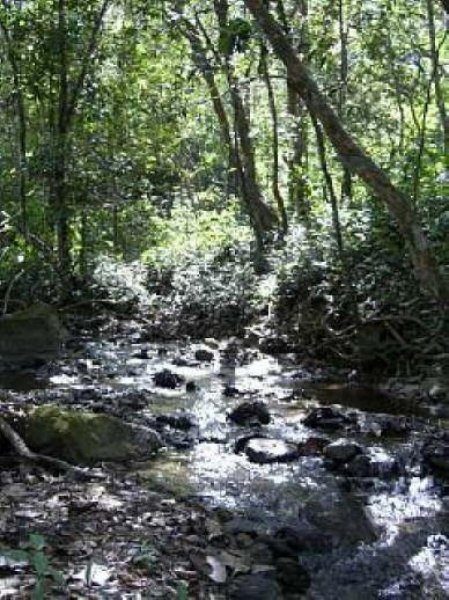 Finca en Venta en La Palma Piedras Negras, San José