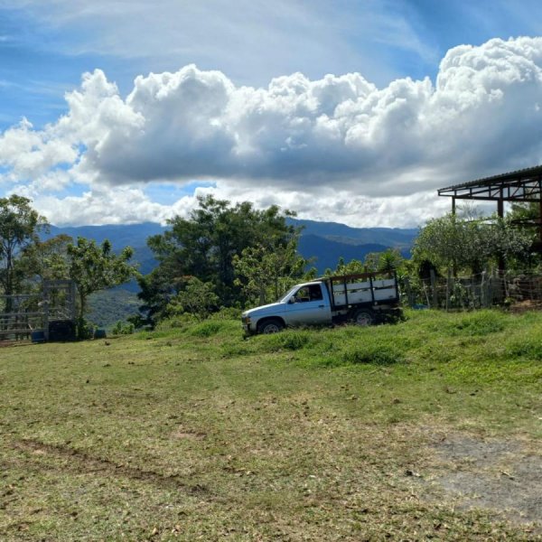 Finca en Paraíso de Cartago, 23000 metros cuadrados