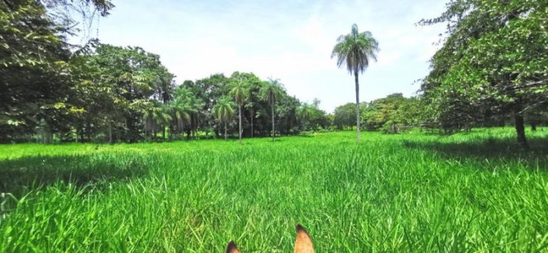 Finca en Venta en  Abanganres, Guanacaste